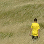 The Catcher in the Rye