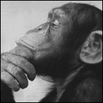 sensatez