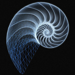 nautilus